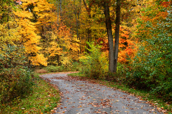 5 Fabulous Fall Scenes | Leisurely Drives for Fall Color