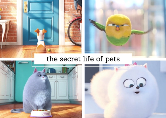 EVENT UPDATE & TICKETS | The Secret Life of Pets