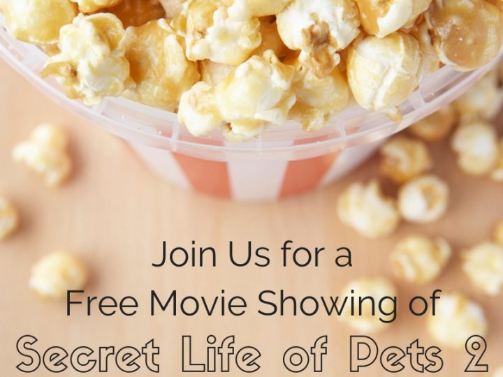 Secret Life of Pets 2 | Summer 2019 Client Appreciation Event