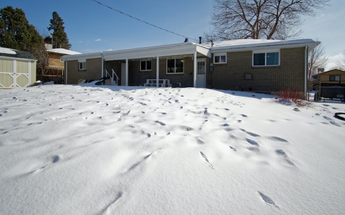 113 Birch Ave, Castle Rock, Douglas, Colorado, United States 80104, 4 Bedrooms Bedrooms, ,2 BathroomsBathrooms,House,Sold!,Birch Ave,9674918