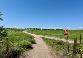 12054 E Lake Circle, Greenwood Village, Arapahoe, Colorado, United States 80111, 4 Bedrooms Bedrooms, ,3 BathroomsBathrooms,House,Sold!,E Lake Circle,9675042