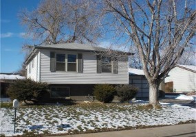 11247 Clermont Way, Thornton, CO 80233